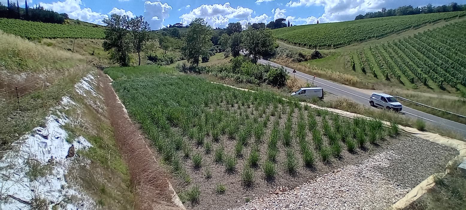 Fitodepurazione cantina vitivinicola Chianti — 28 m³/giorno